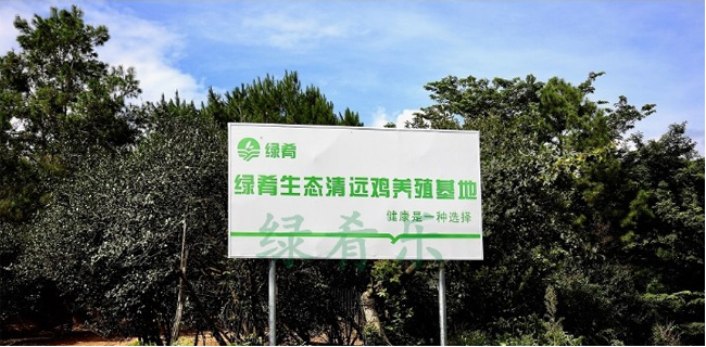 一手三鸟网